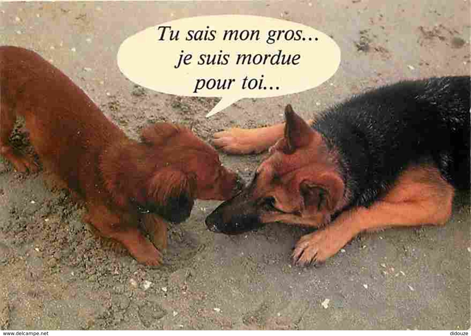 Animaux - Chiens - Berger Allemand - Race à Définir - Carte Humoristique - Carte Neuve - CPM - Voir Scans Recto-Verso - Chiens