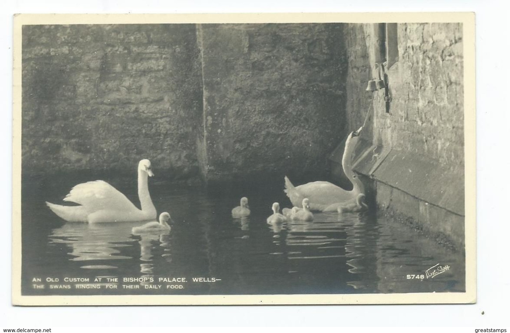 Somerset Postcard Wells Swans Ringing Bell Bishop's Palace Walter Scott Rp Posted1947 - Wells