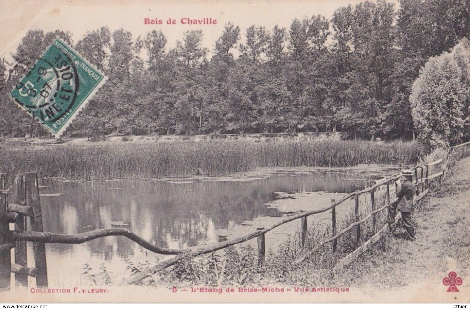 CPA CHAVILLE 92 - L'Etang De Brisemiche - Chaville