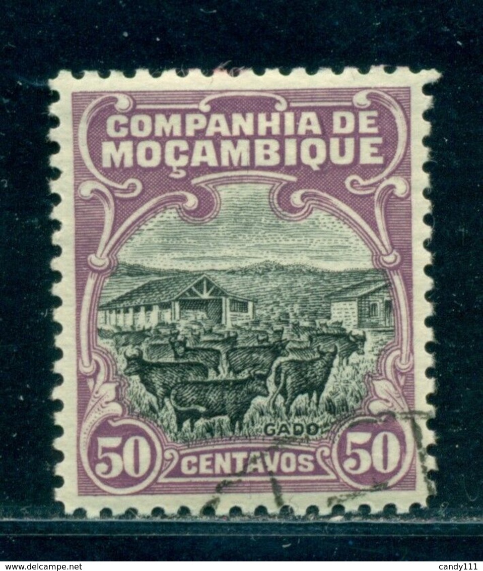 1925 Cattle, Cow, Farm, Mozambique Company, Mi 163/ 50C, VFU/CTO/LH - Farm