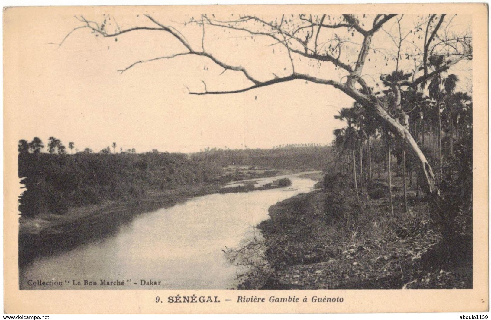 AFRIQUE OCCIDENTALE FRANCAISE GAMBIE GUENOTO : " LA RIVIERE GAMBIE  " SENEGAL - Gambia