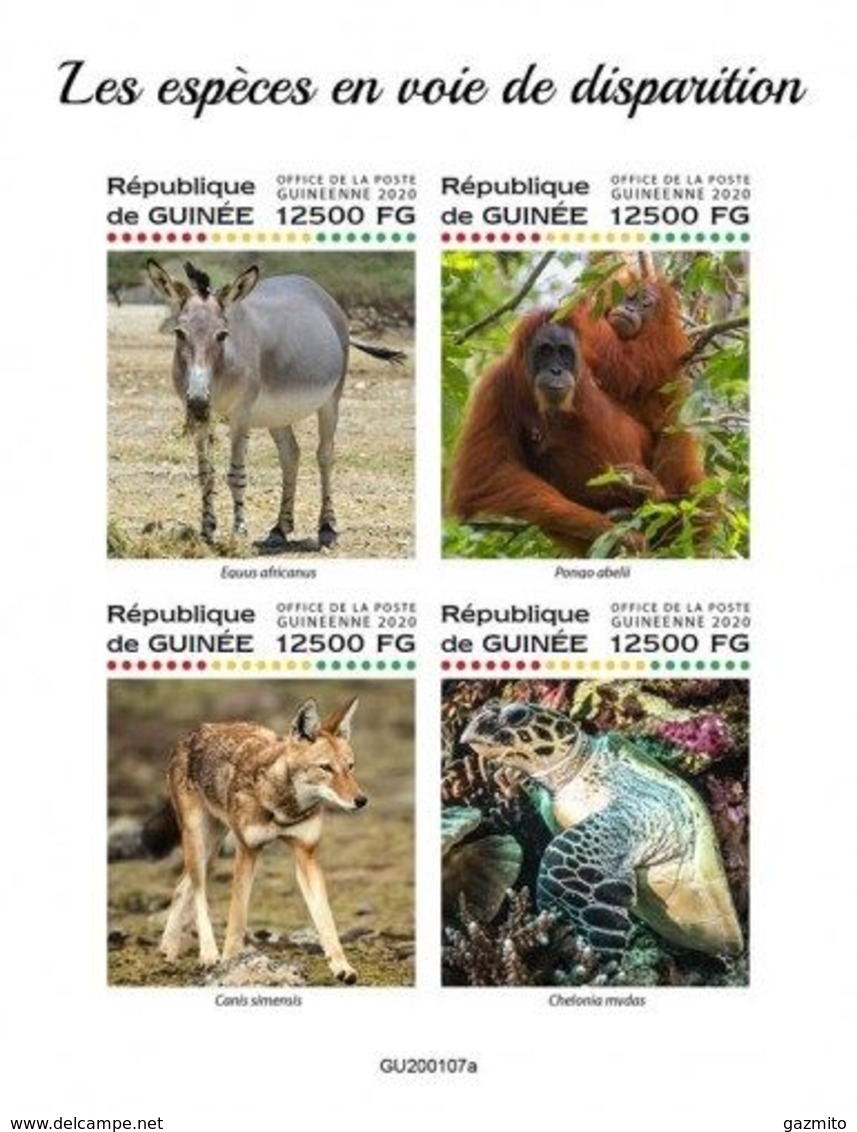 Guinea 2020, Animals In Danger, Gorilla, Wolf, Turtle, 4val In BF IMPERFORATED - Anes