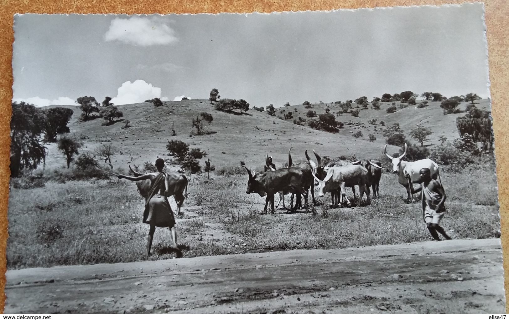 RUANDA  URUNDI   PAYSAGE  CHAMPETRE - Congo Belge