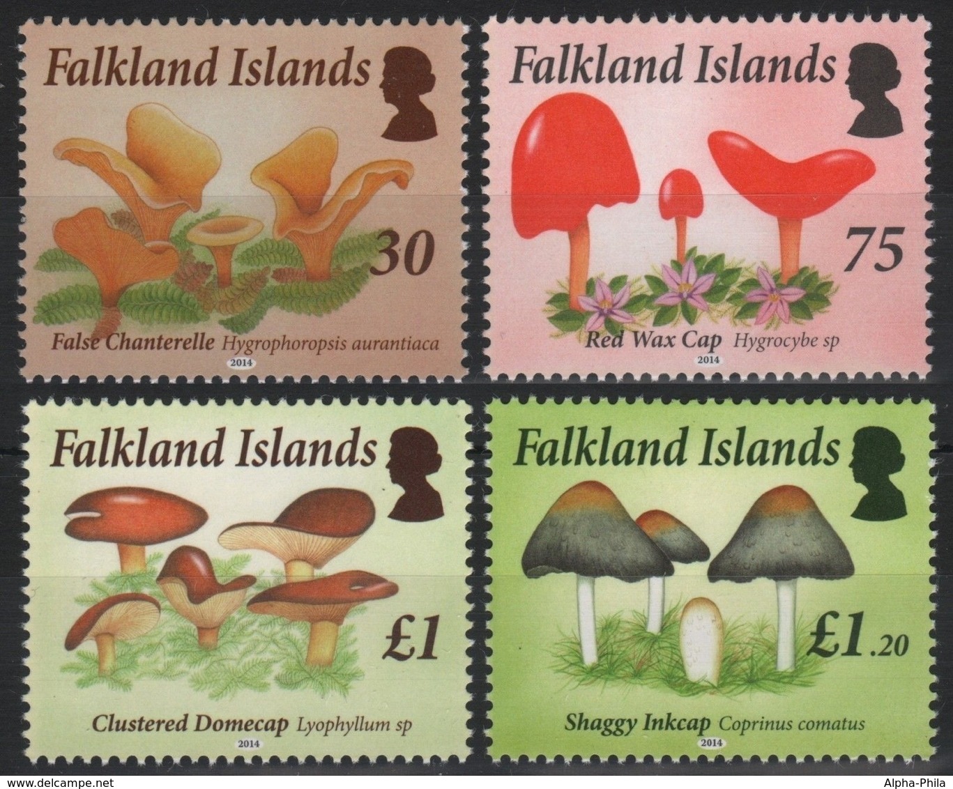 Falkland 2014 - Mi-Nr. 1246-1249 ** - MNH - Pilze / Mushrooms - Falklandinseln