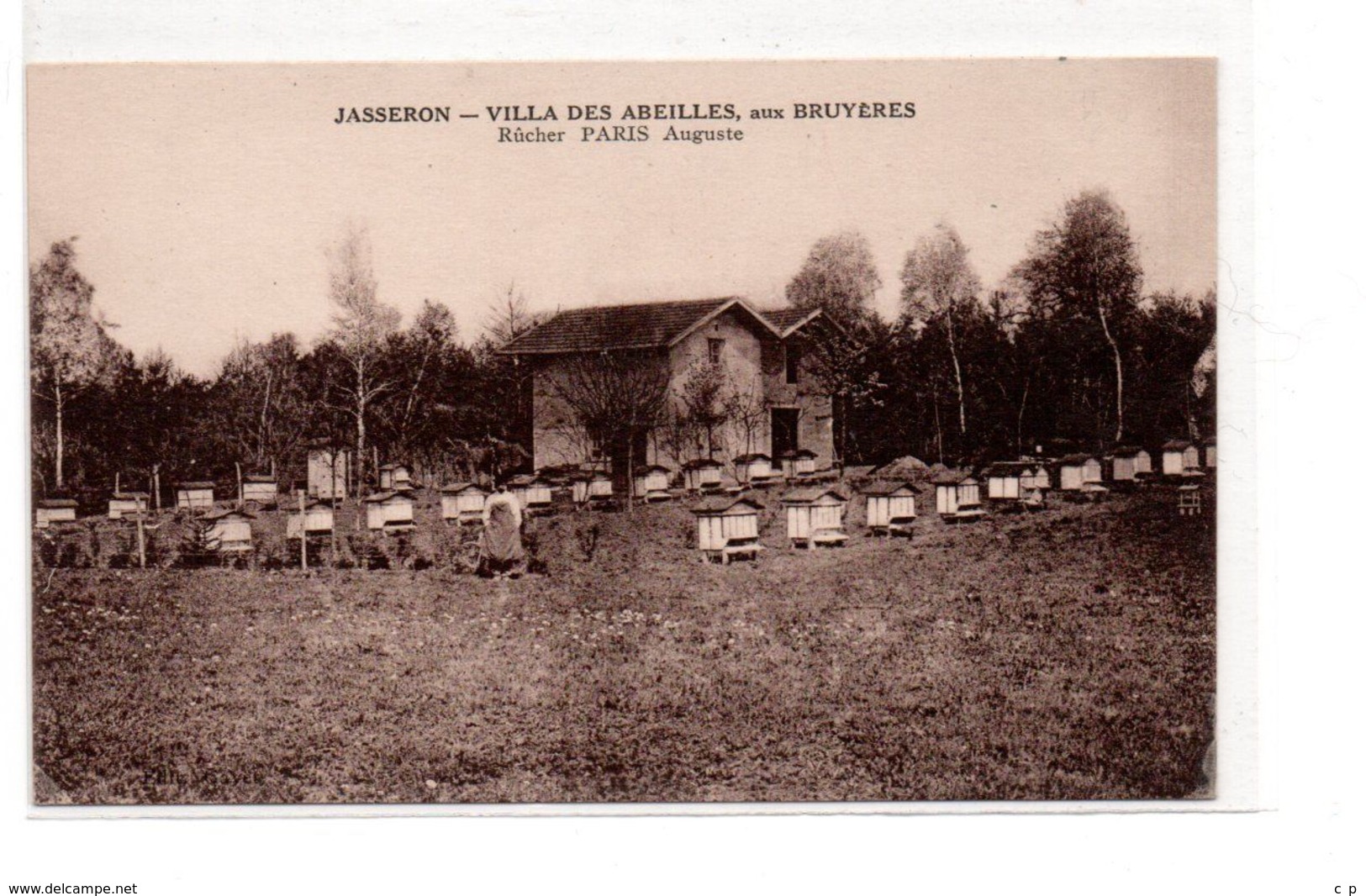 Jasseron - Villa Des Abeilles - Rucher Paris Auguste - Apiculture  -  CPA ° - Non Classés