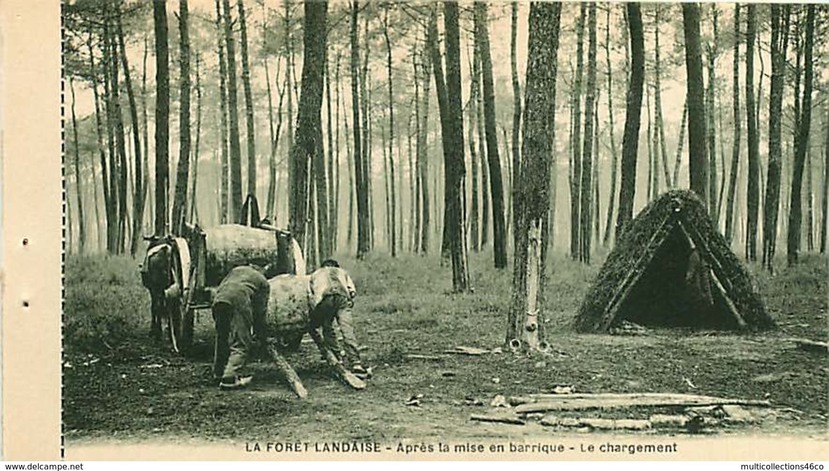 040620A - 40 FORET LANDAISE Résinage Des Pins - Après La Mise En Barrique Le Chargement - Hutte Résinier Métier - Other & Unclassified