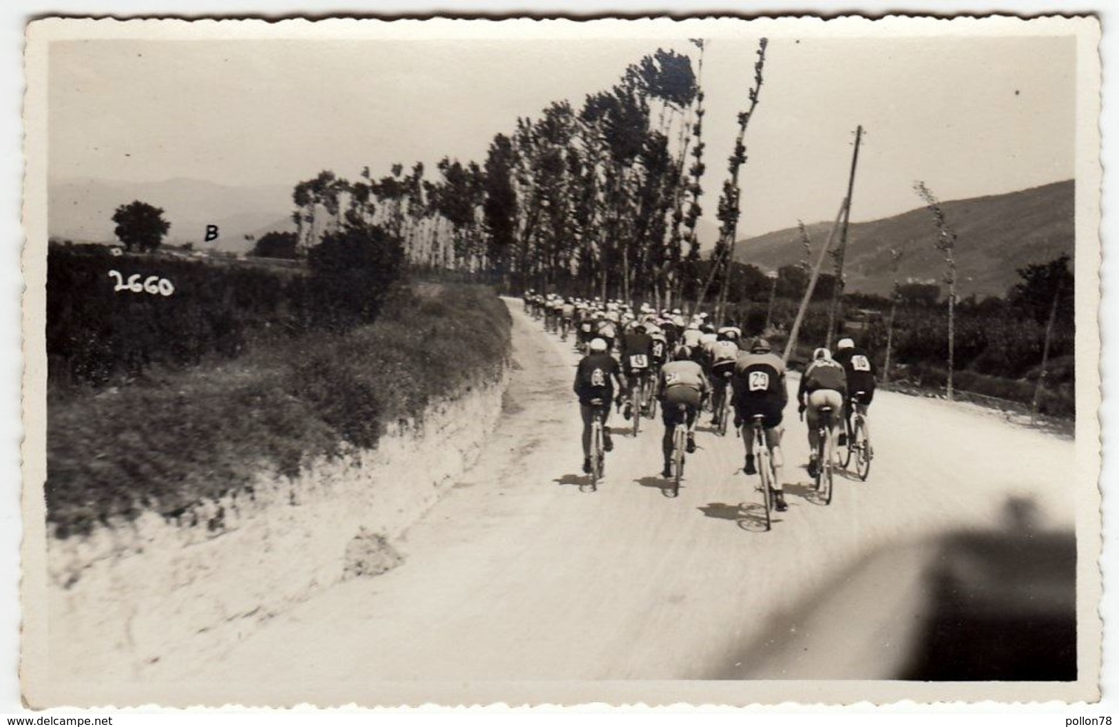 FOTOGRAFIA - CICLISMO - CORSA CICLISTICA - 1933 - LUOGO DA CLASSIFICARE - Vedi Retro - Ciclismo