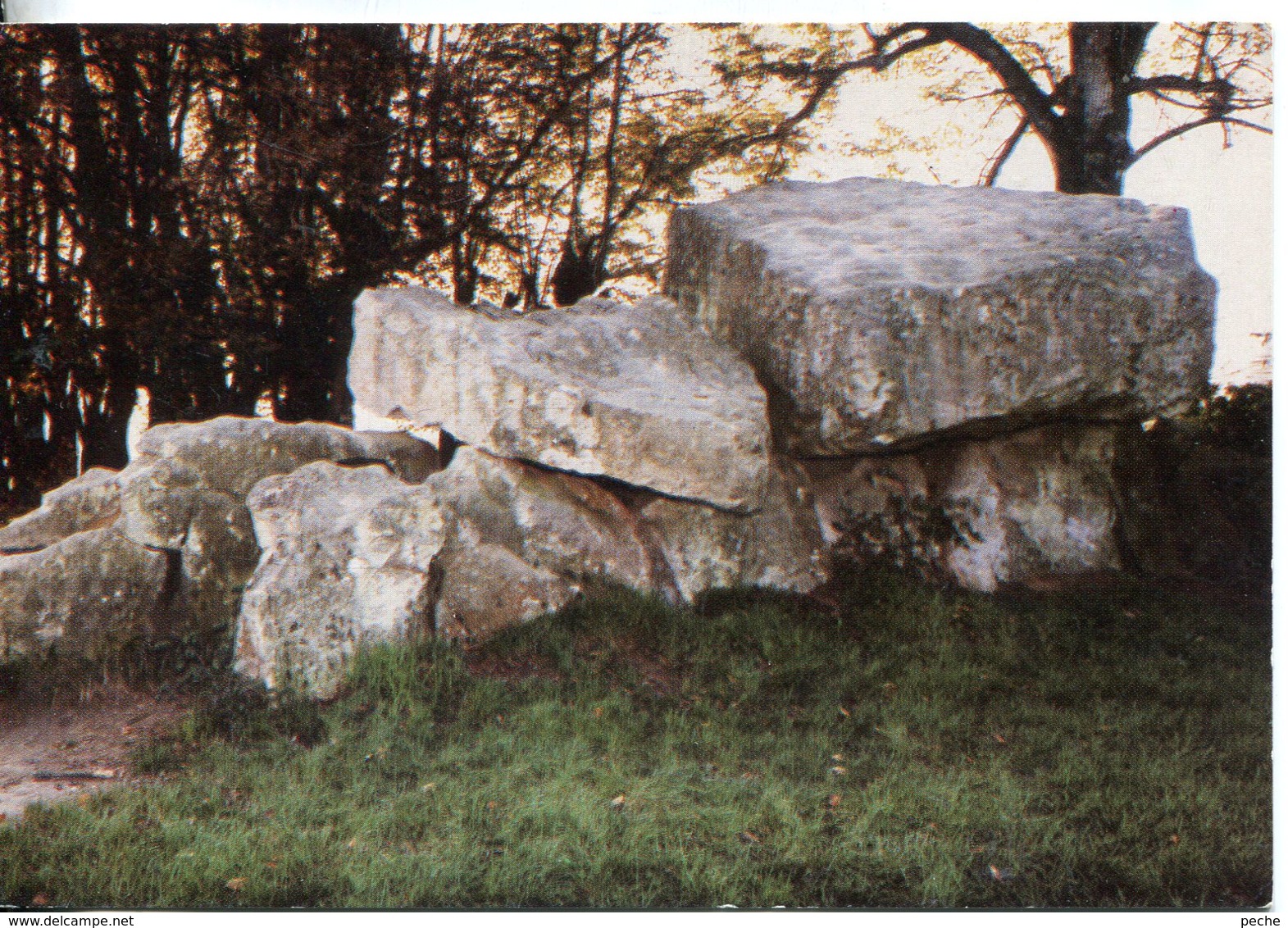 N°19 R -cpsm Montguyon -le Dolmen- - Dolmen & Menhirs