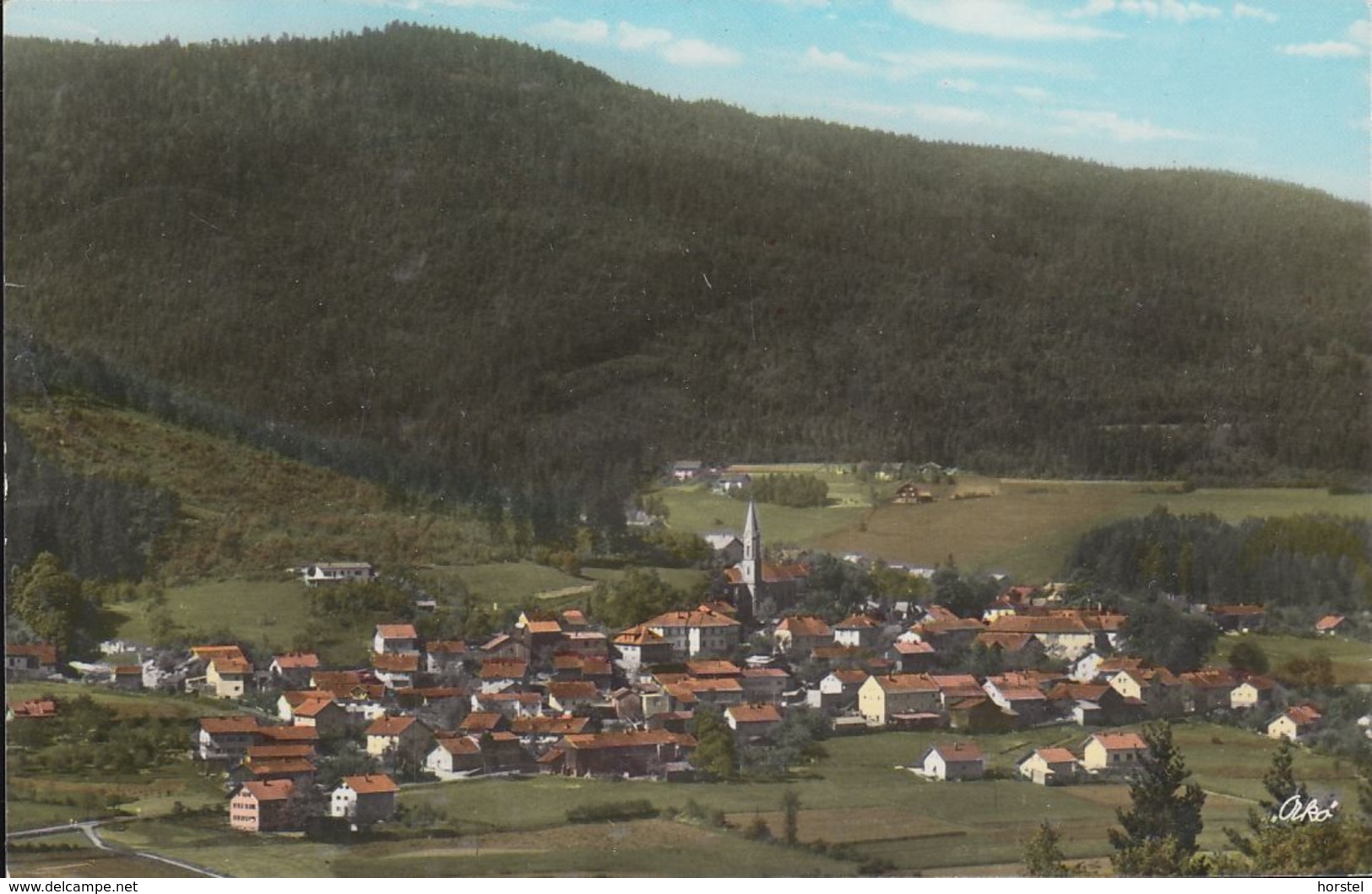 D-93480 Hohenwarth Bei Kötzting (Bayer.Wald) - Panorama ( 60er Jahre) - Cham