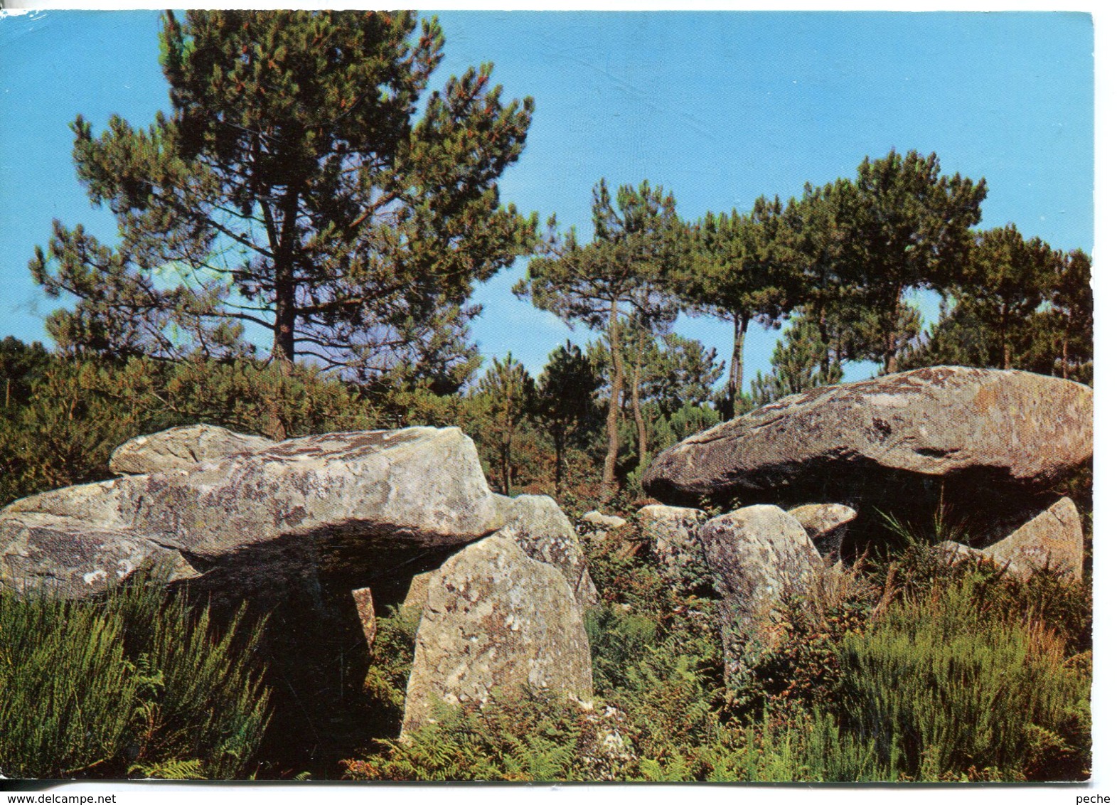 N°39 R -cpsm Dolmens De Gromelech - Dolmen & Menhirs
