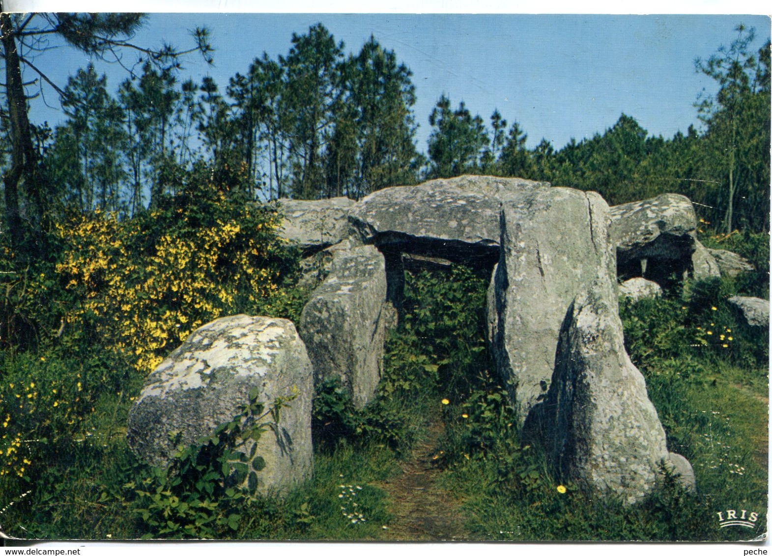 N°40 R -cpsm Dolmen De Mans Croch - Dolmen & Menhirs