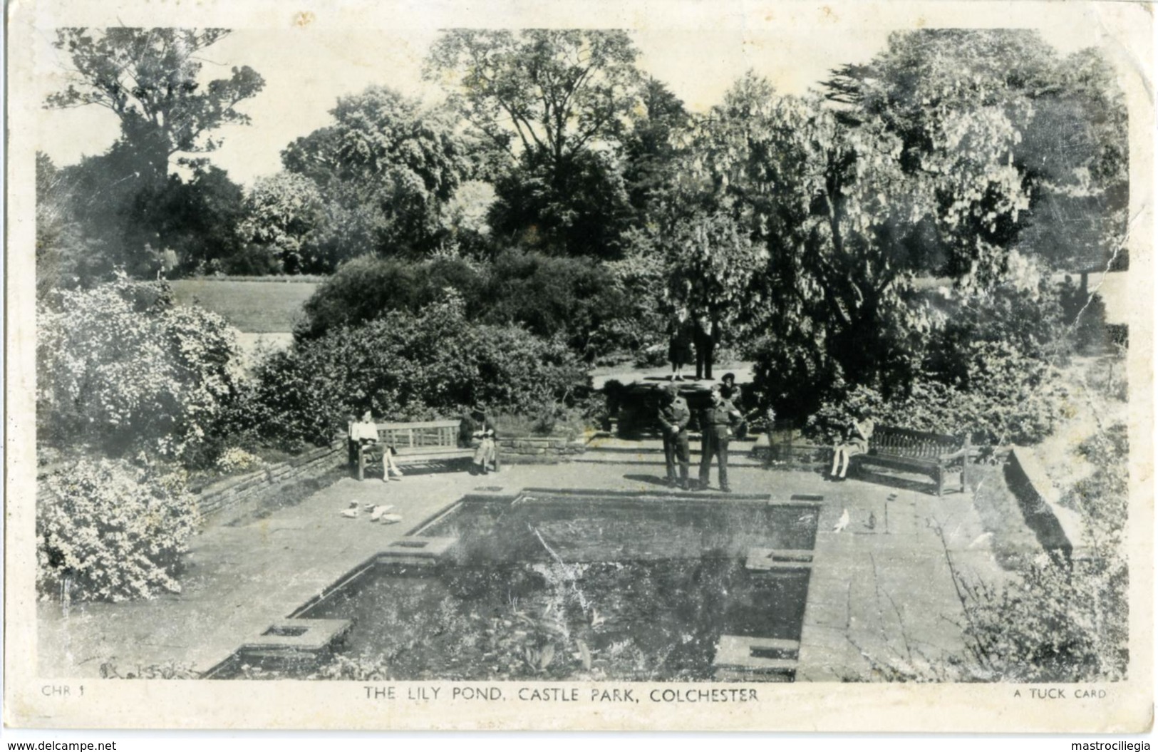 COLCHESTER  ESSEX The Lily Pond  Castle Park  Tuck Card - Colchester