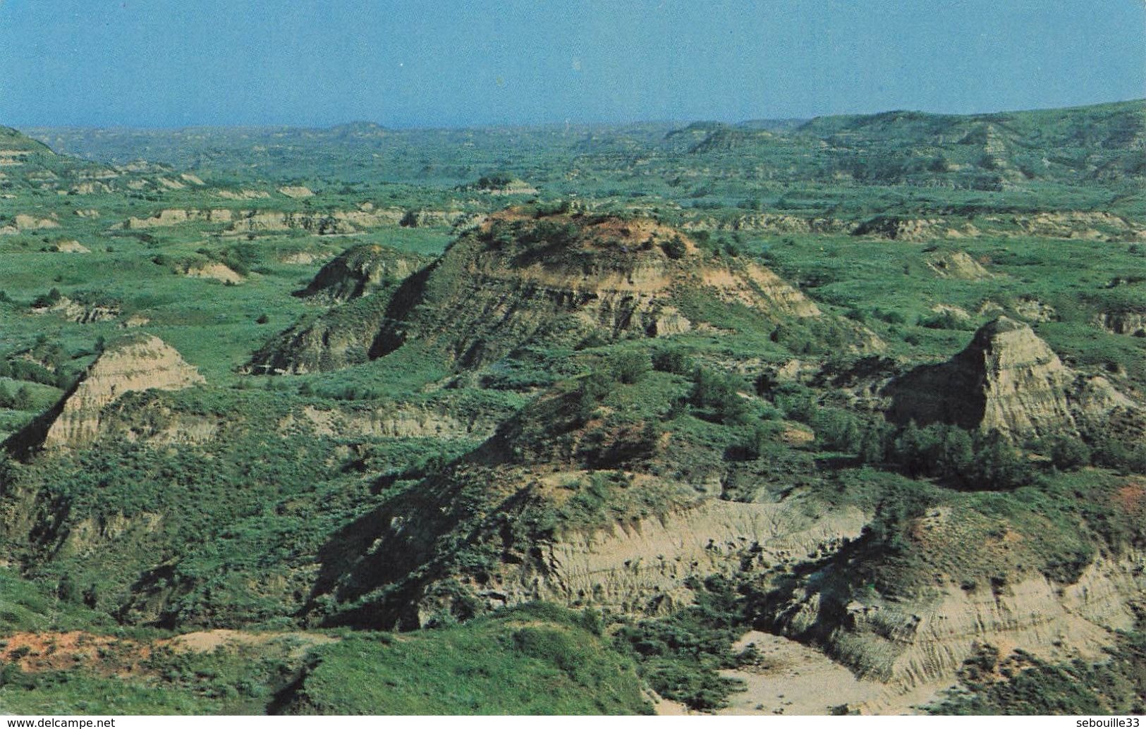 CPSM - USA - Theodore Roosevelt National Memorial Park - North Dakota Badlands - Other & Unclassified