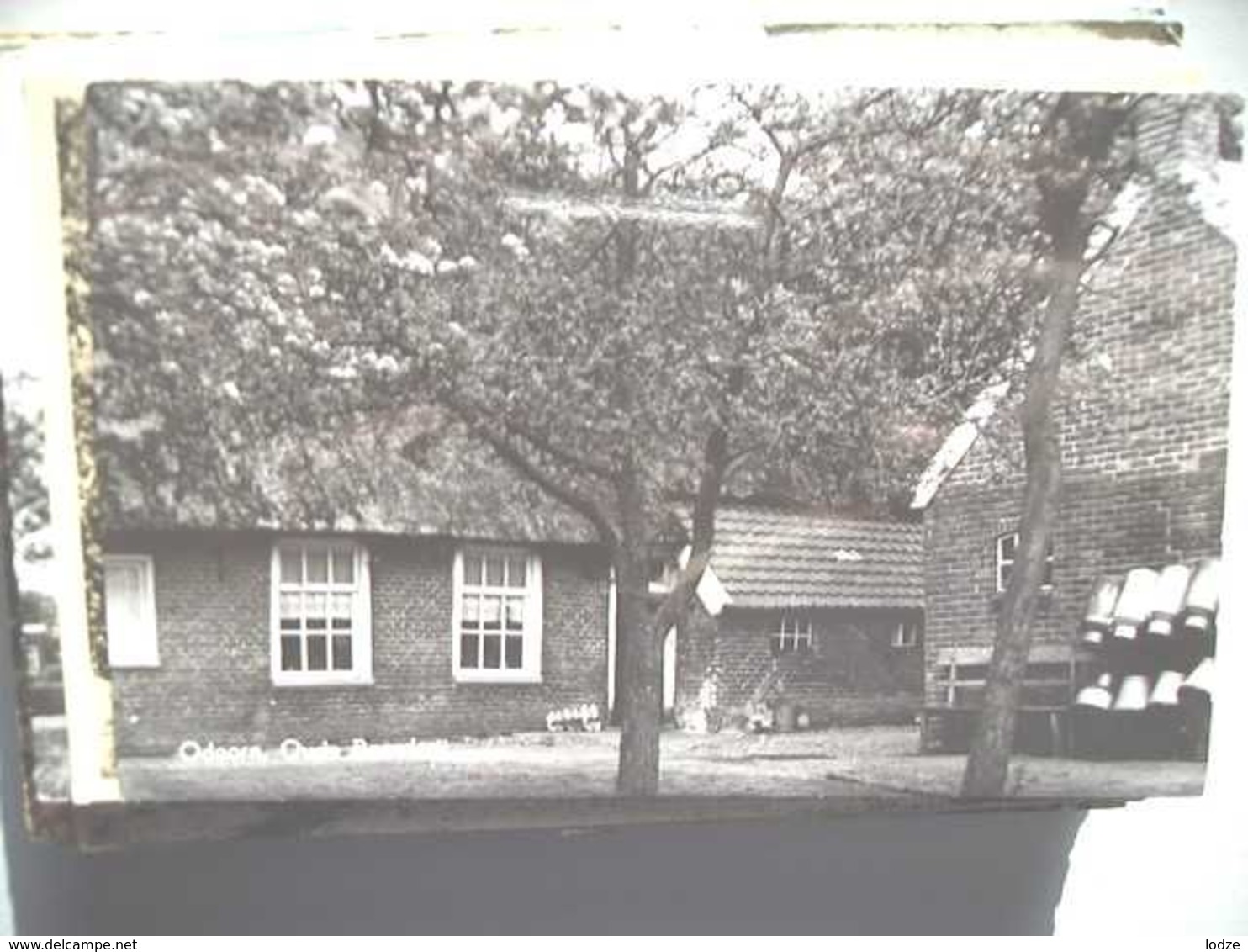 Nederland Holland Pays Bas Odoorn Met Oude Boerderij Melkbussen - Odoorn