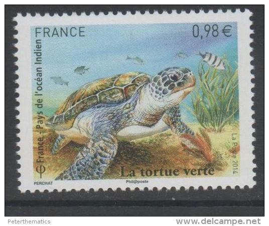 FRANCE ,2014 ,MNH, MARINE LIFE, TURTLES, GREEN TURTLE, JOINT ISSUE,  1v - Turtles