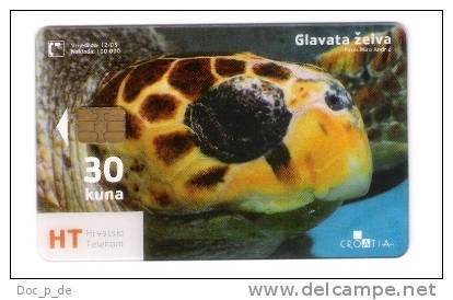 Croatia - Kroatien - Sea Turtle - Underwater - Transparent Card - Schildkröte - Sea World - Schildpadden