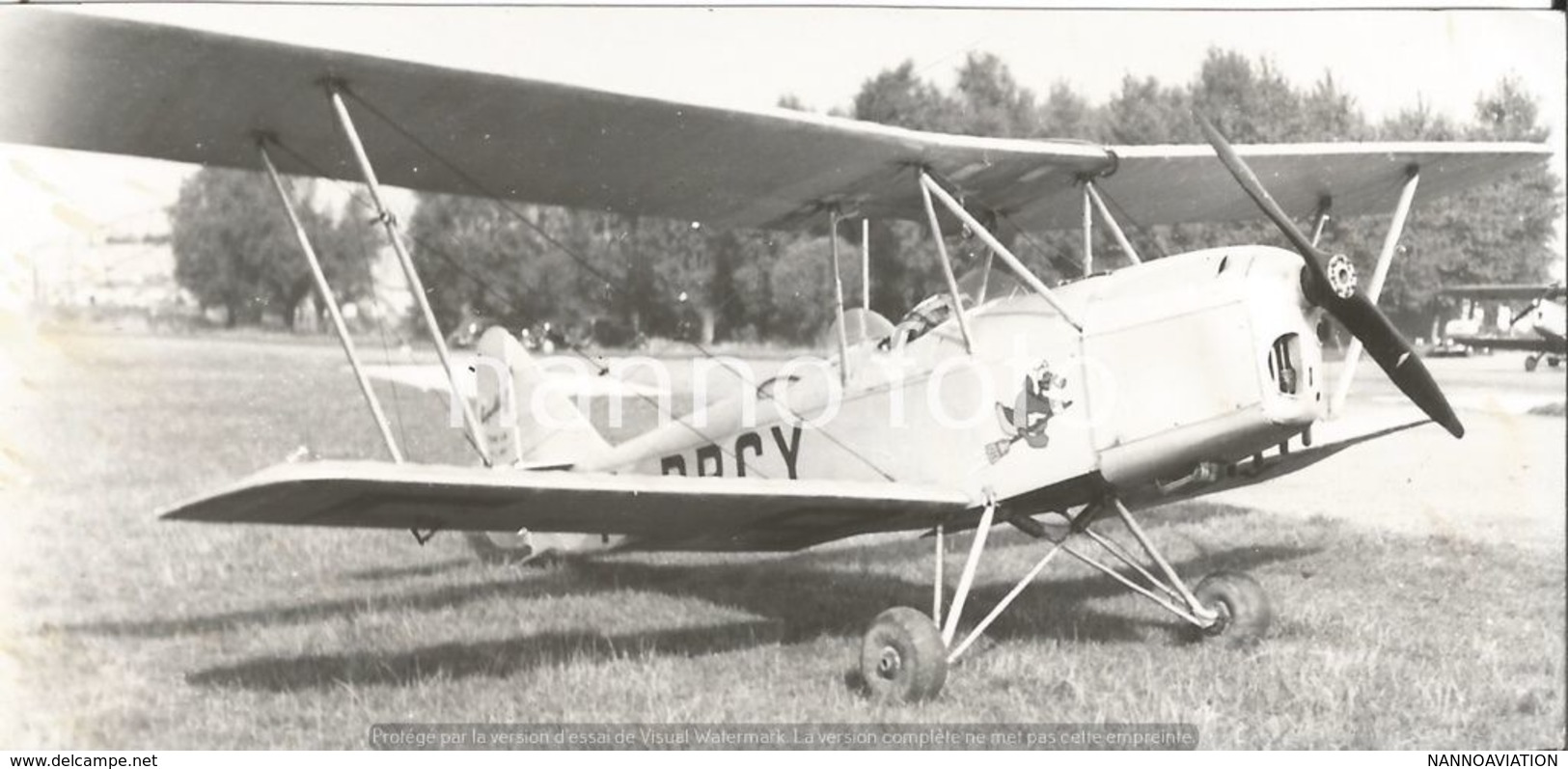 PHOTO AVION       Caudron     RETIRAGE REPRINT - Aviation