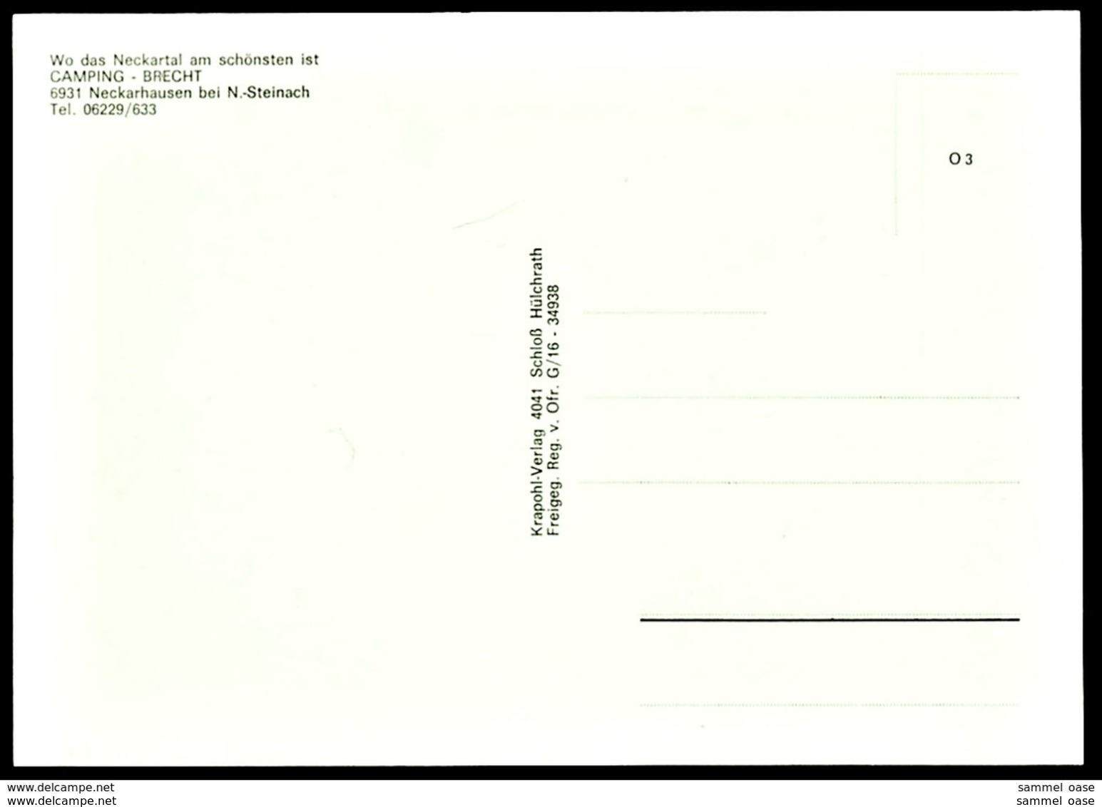 Neckarhausen Bei N.-Steinach  - Camping Brecht  -  Luftbild  -  Ansichtskarte 1977  (13093) - Ladenburg