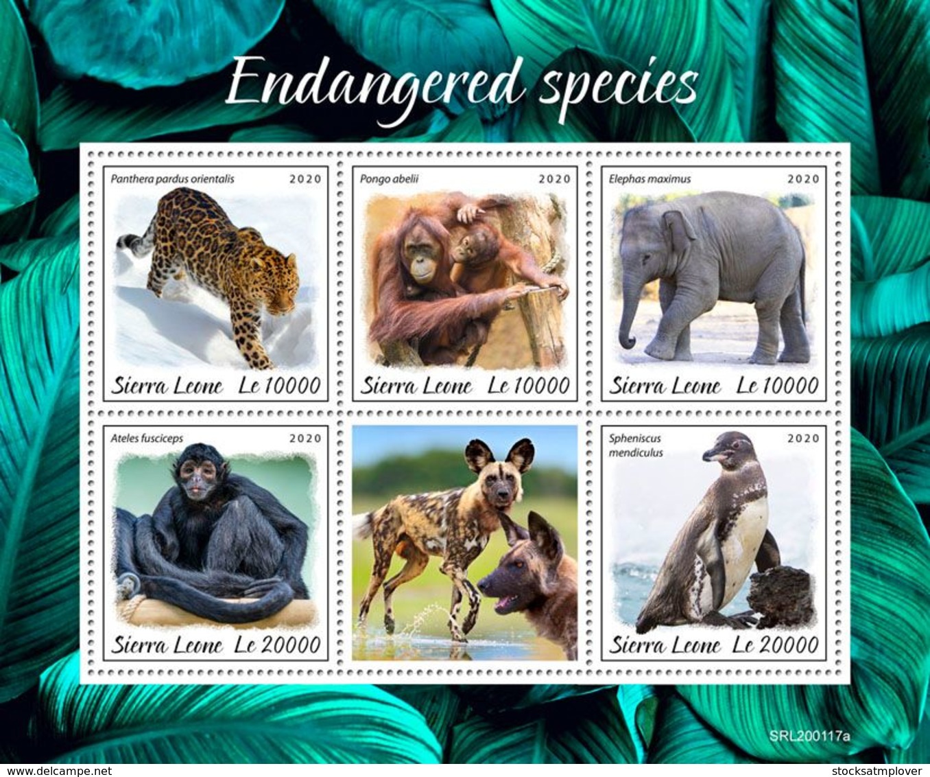 Sierra Leone 2020 Fauna ,Endangered Species , Monkey , Penguin  ,elephant ,orangutan  S202003 - Sierra Leone (1961-...)