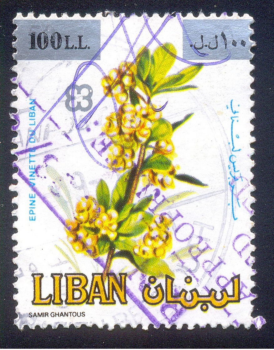 LEBANON 100L USED STAMP 57913 EPINE VINETTE PLANT - Libanon