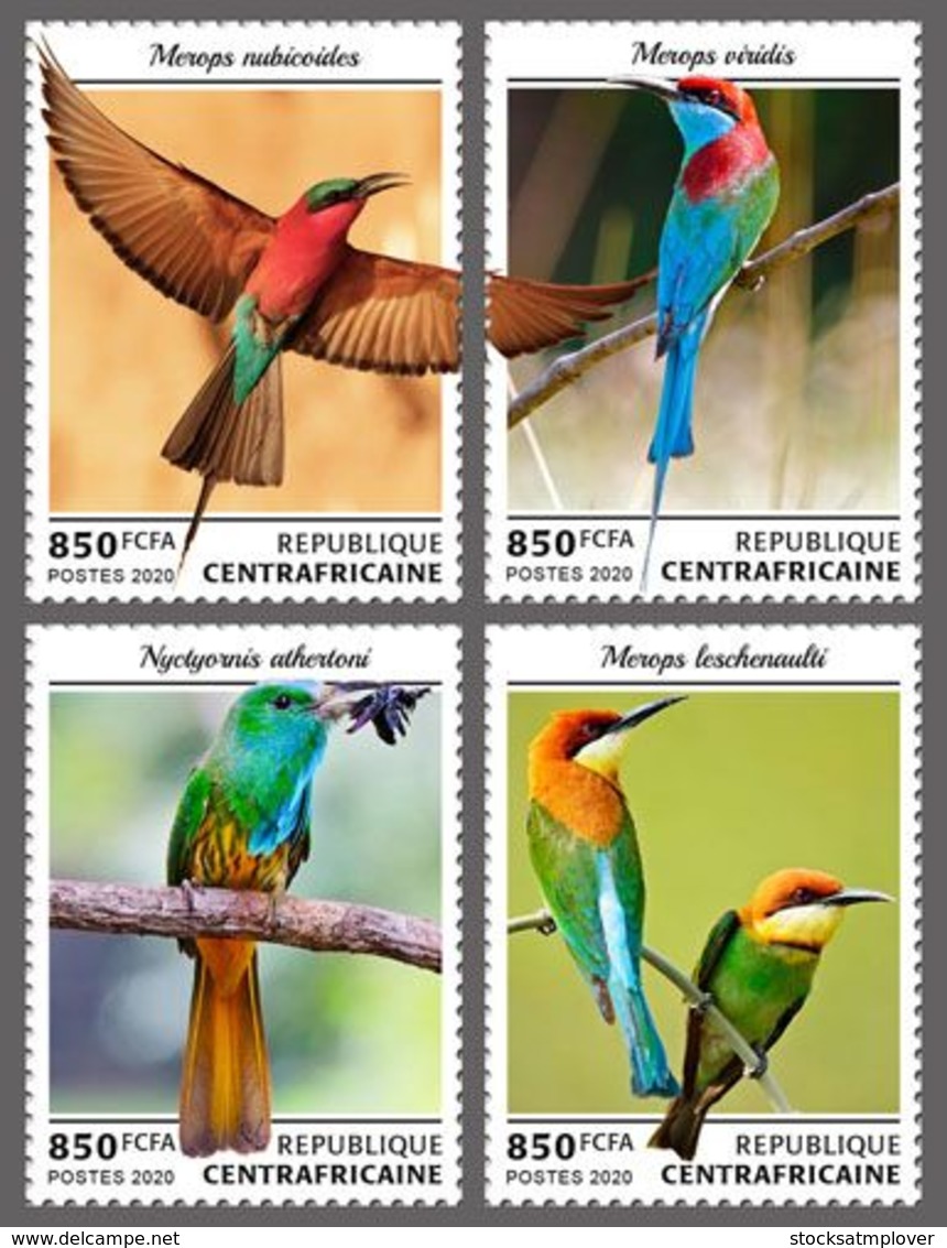 Central Africa 2020  Fauna   Bee-eaters  S202003 - Central African Republic