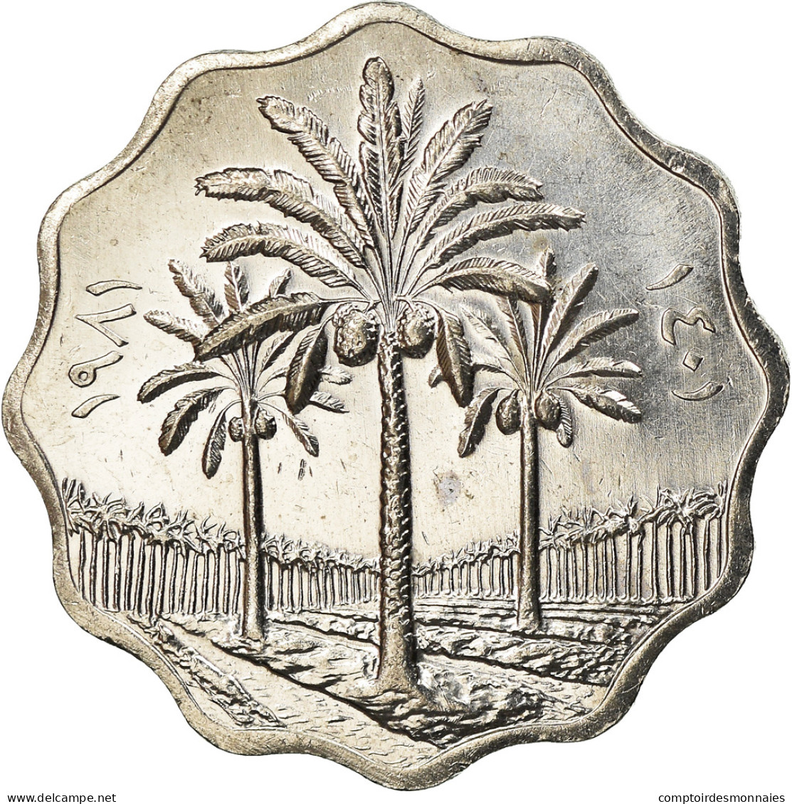 Monnaie, Iraq, 5 Fils, 1981, SPL+, Stainless Steel, KM:125a - Iraq