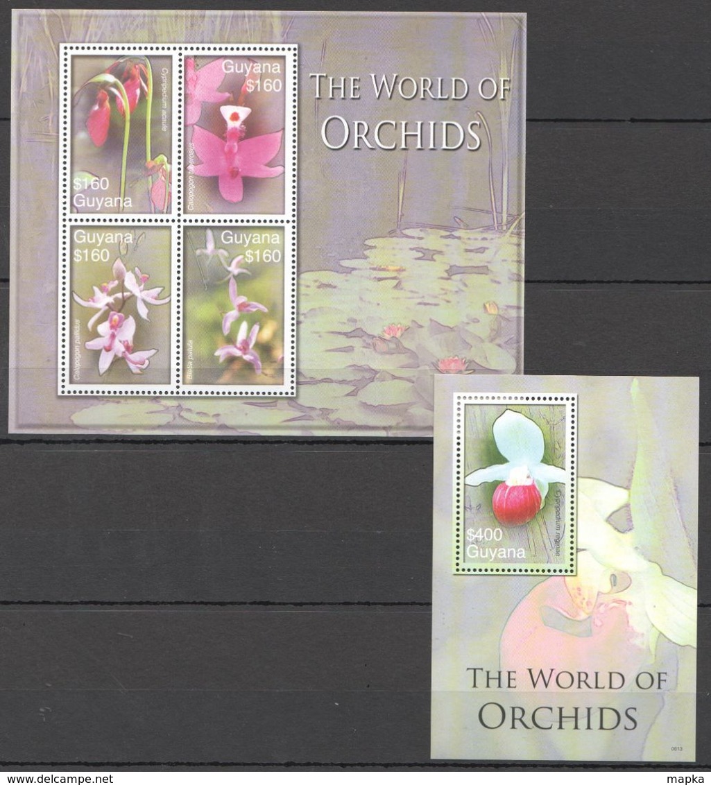 W1004 2006 GUYANA FLORA NATURE FLOWERS THE WORLD OF ORCHIDS 1KB+1BL MNH - Orchids