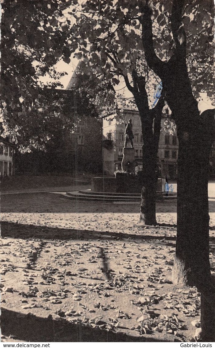 Carte Photo - Bulle Monument Chenaux - Château - Glasson - Bulle