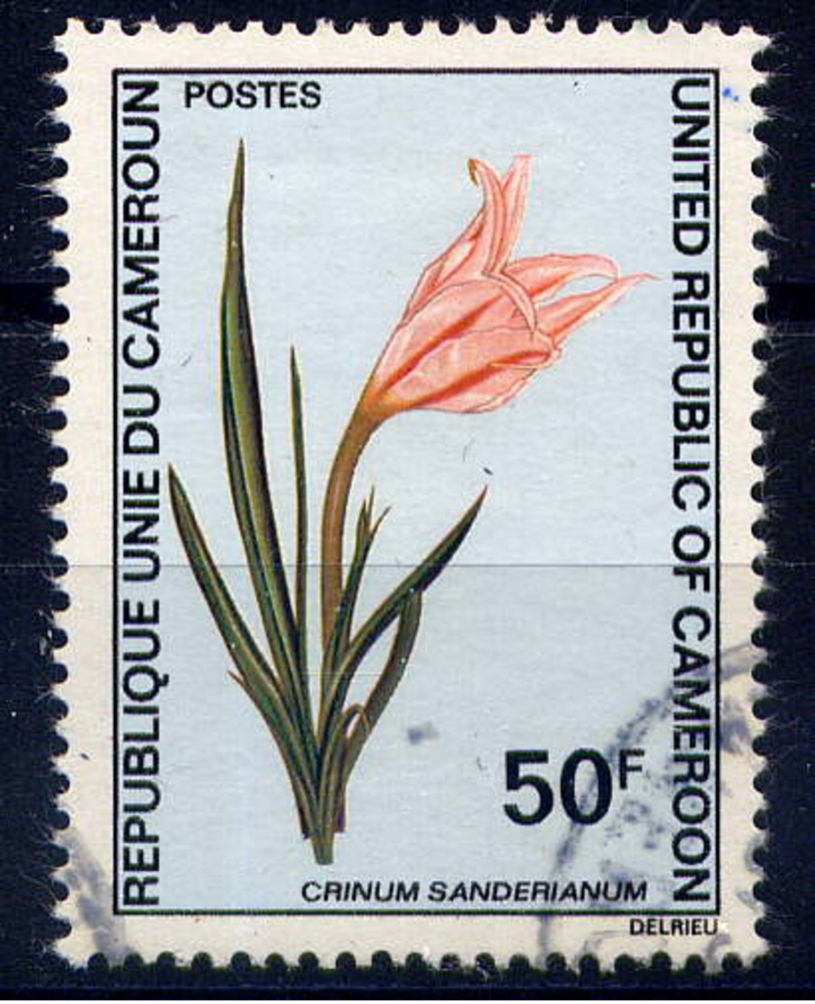 CAMEROUN - 532° - CRINUM SANDERIANUM - Cameroun (1960-...)