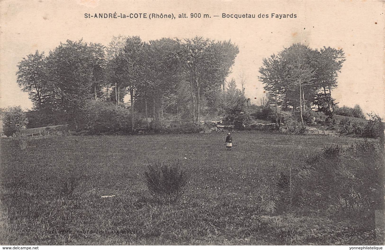 69 - RHONE - SAINT-ANDRE LA COTE - 10044 - Bocquetau Des Fayards - Défaut - Saint-André-la-Côte