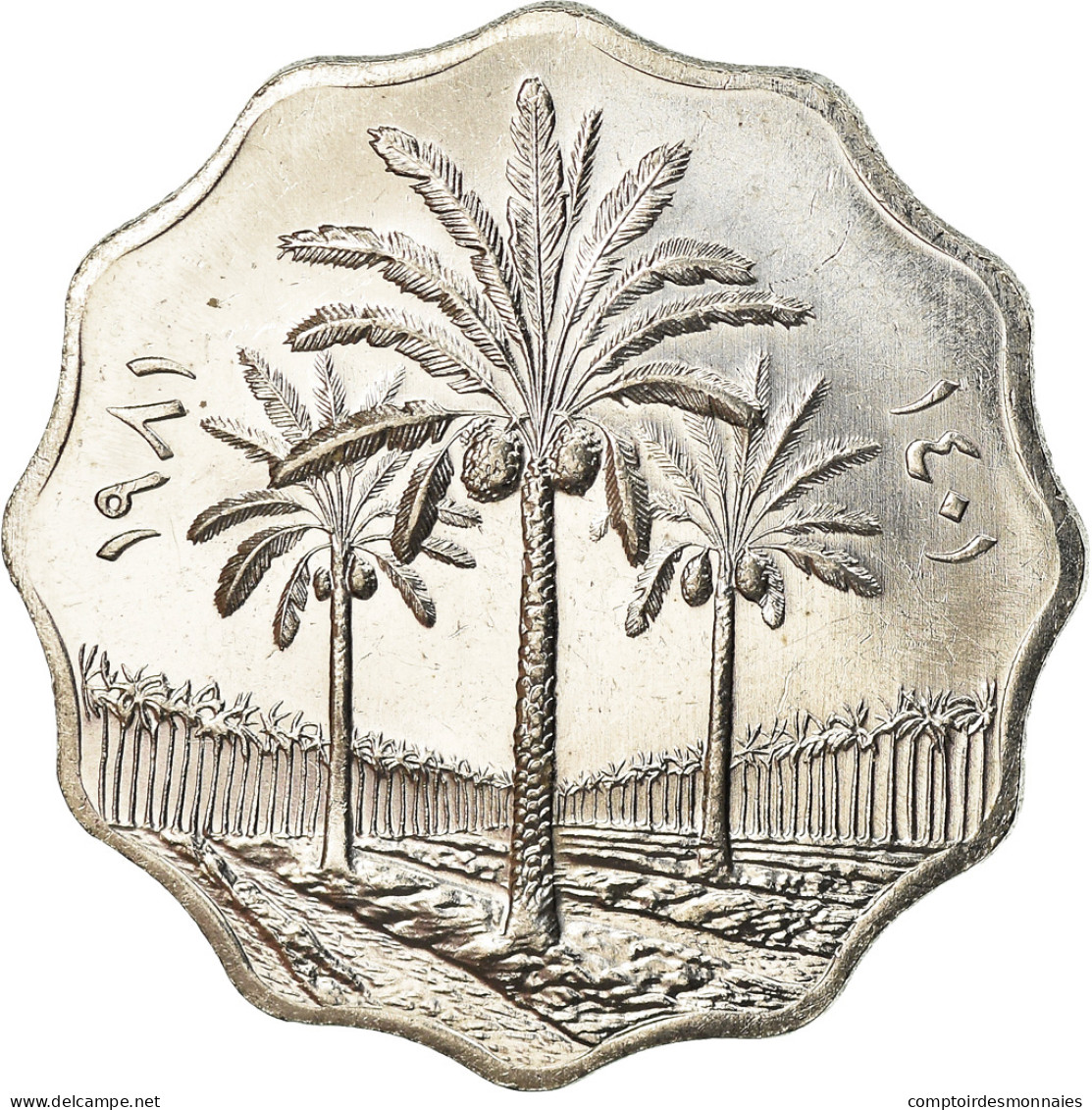 Monnaie, Iraq, 10 Fils, 1981, SPL+, Stainless Steel, KM:126a - Iraq