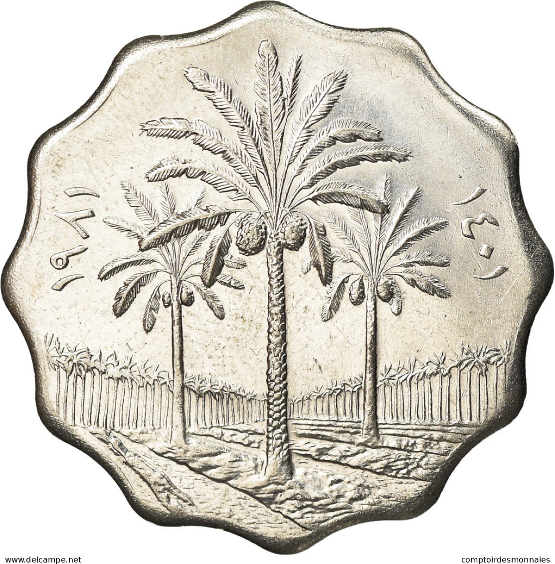 Monnaie, Iraq, 10 Fils, 1981, SPL, Stainless Steel, KM:126a - Irak