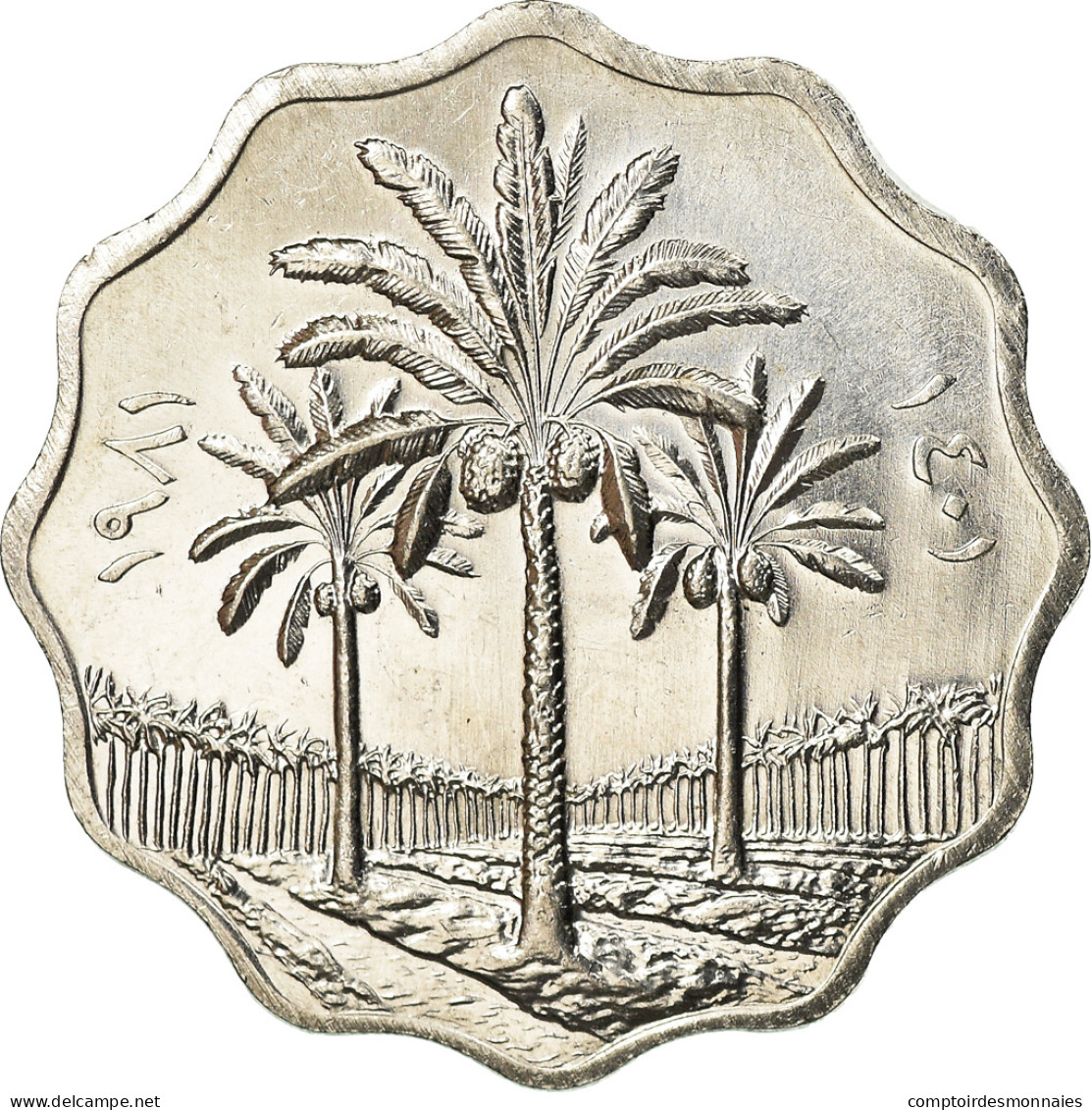 Monnaie, Iraq, 5 Fils, 1981, SPL, Stainless Steel, KM:125a - Irak