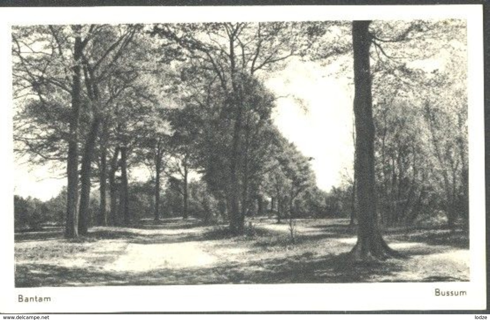 Nederland Holland Pays Bas Bussum Bantam Mooi Fotokaartje - Bussum