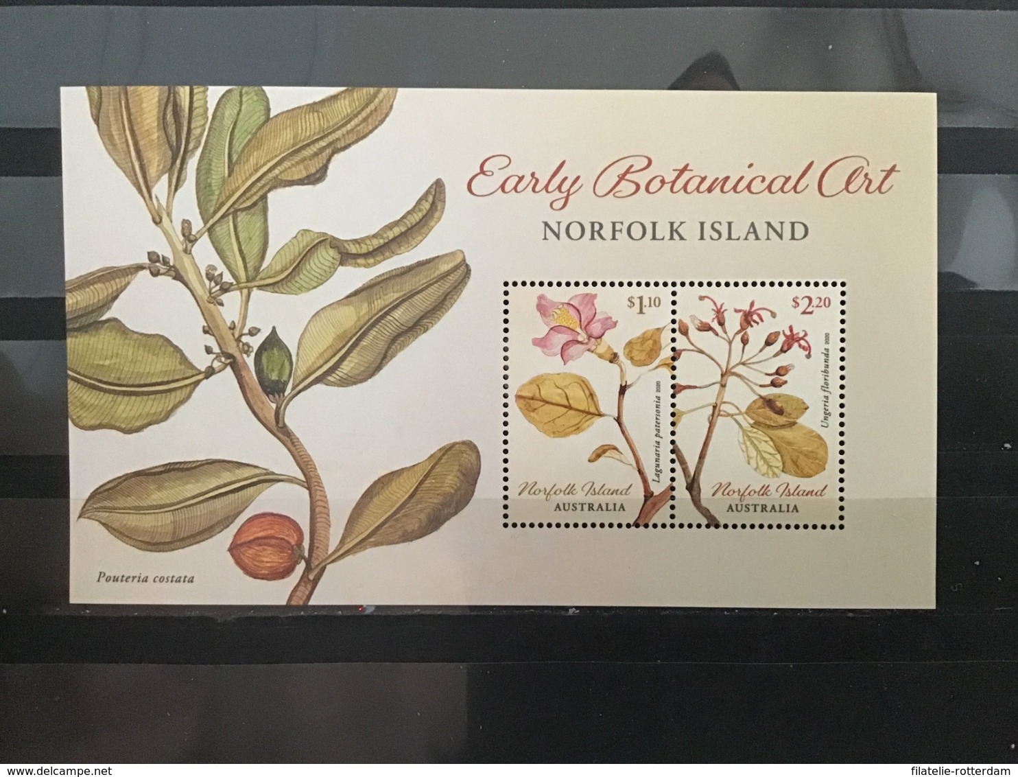 Norfolk Eiland / Norfolk Island - Postfris/MNH - Sheet Botanische Kunst 2020 - Isla Norfolk