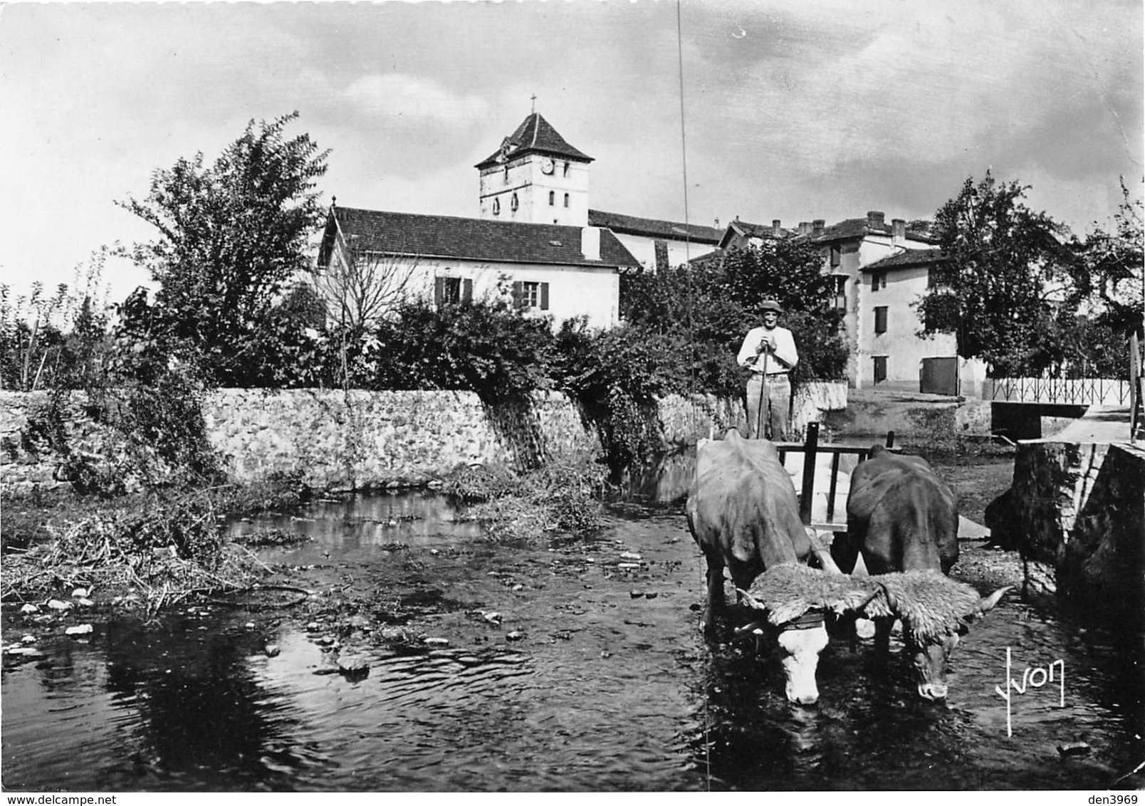 ESPELETTE - Attelage De Boeufs Basques - Editions Yvon - Espelette