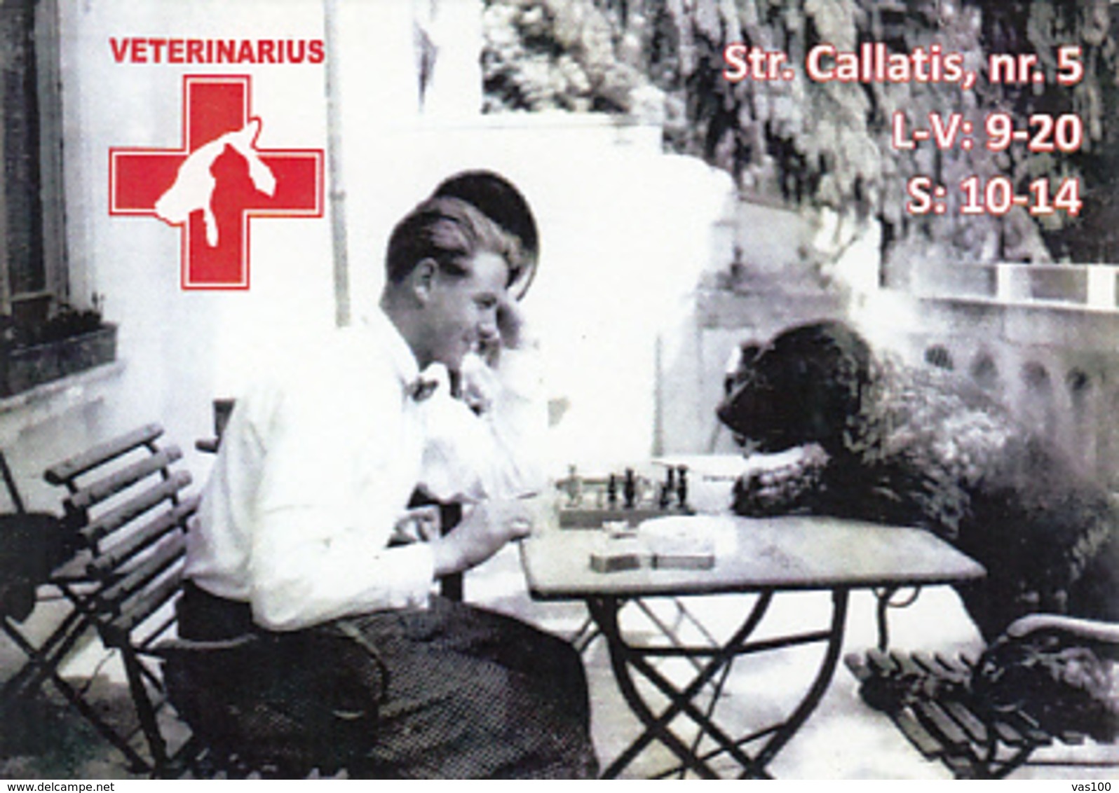 87925-DOG, CHESS, VETERINARY CLINIC ADVERTISING, POCKET CALENDAR, 2014, ROMANIA - Formato Piccolo : 2001-...