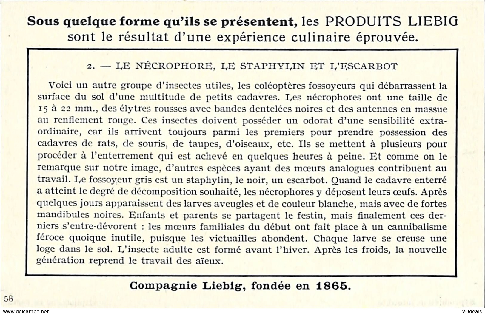 6 Chromos - Liebig - Coléoptères terrestres d'Europe occidentale - S 1476