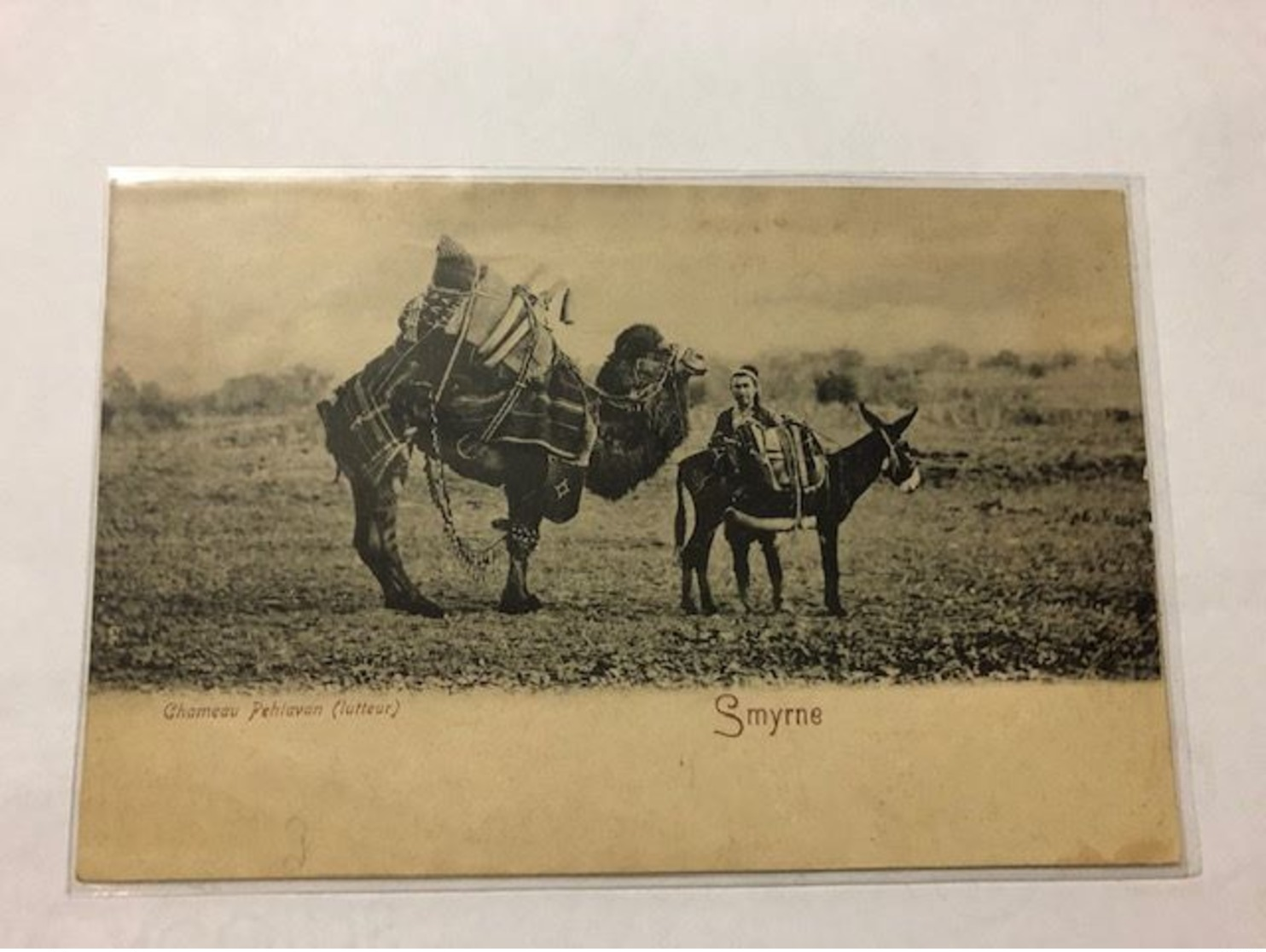 GREECE - OTTOMAN EMPIRE   -  SMYRNE - CHAMEAU PEHLAVON (LUTTEUR) - 1909 - Grecia