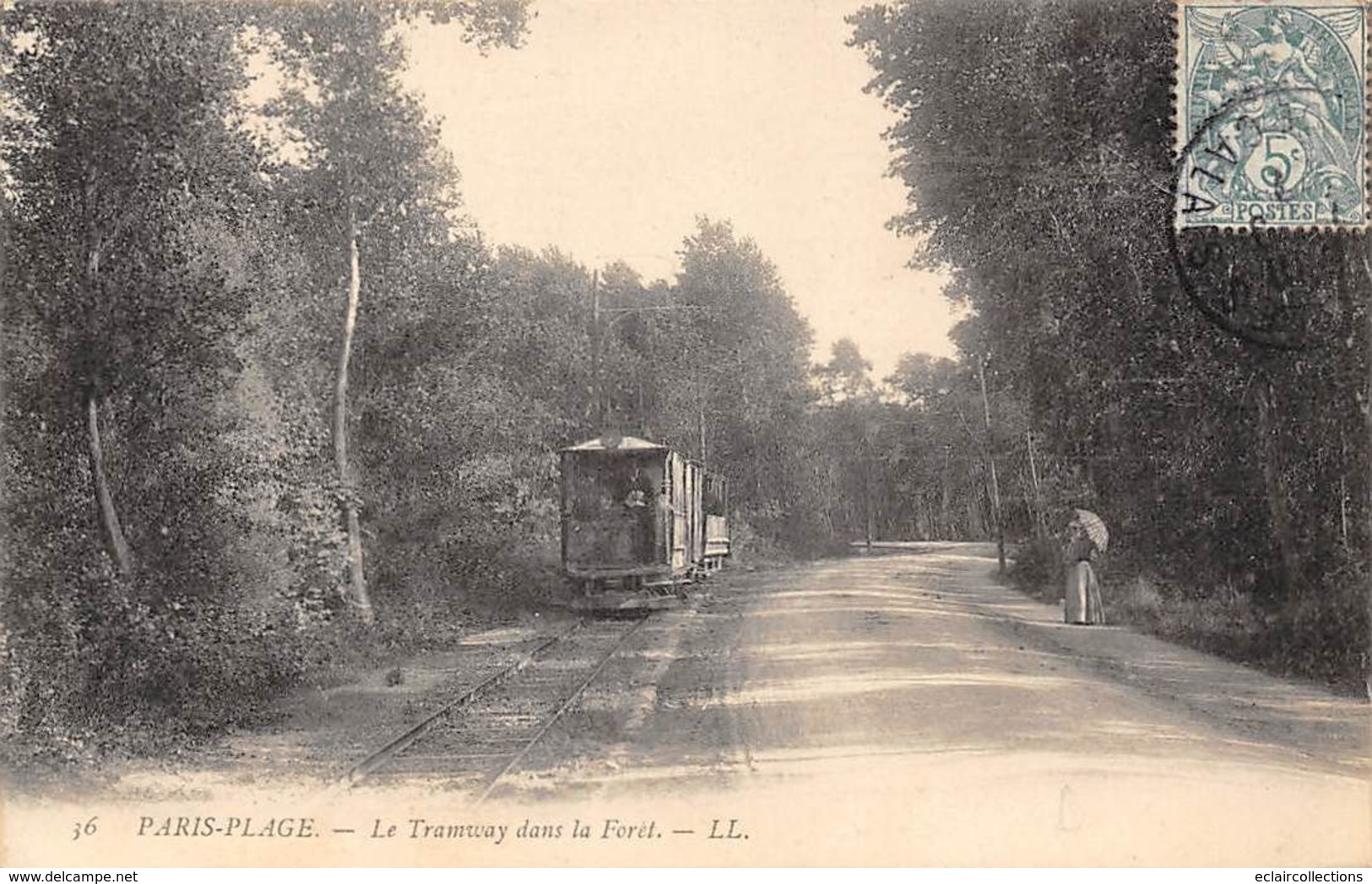 Le Touquet . Paris-Plage   62       Tramway Dans La Forêt        .     (voir Scan) - Le Touquet