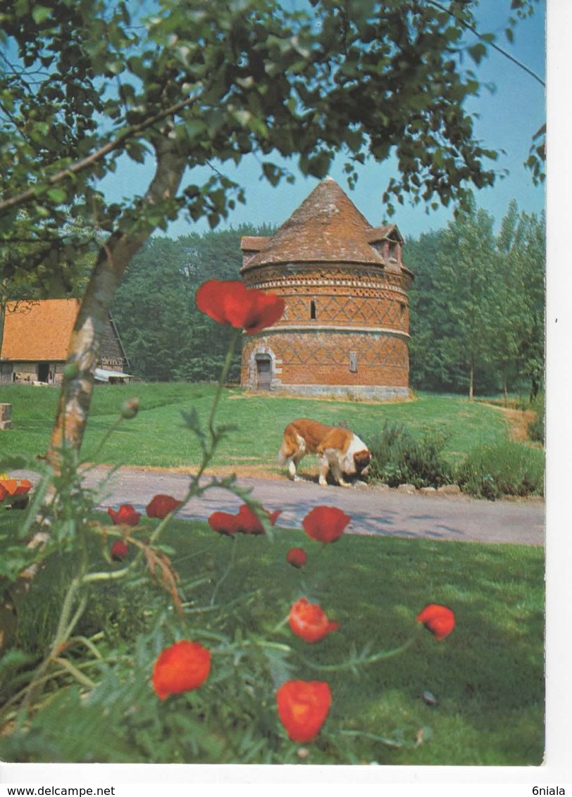 1160 CARTE  Pigeonnier D' OFFRANVILLE   76       Chien   Fleurs - Offranville