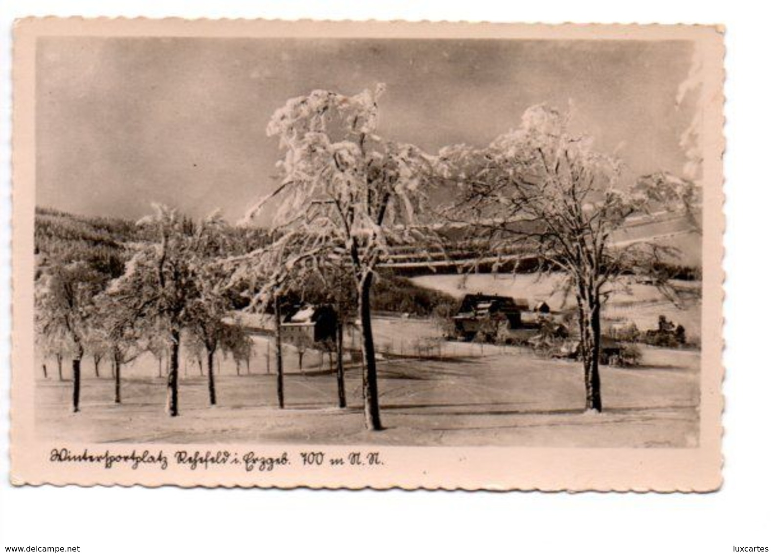 WINTERSPORTPLATZ. REHEFELD I. ERZGEBIRGE. - Rehefeld