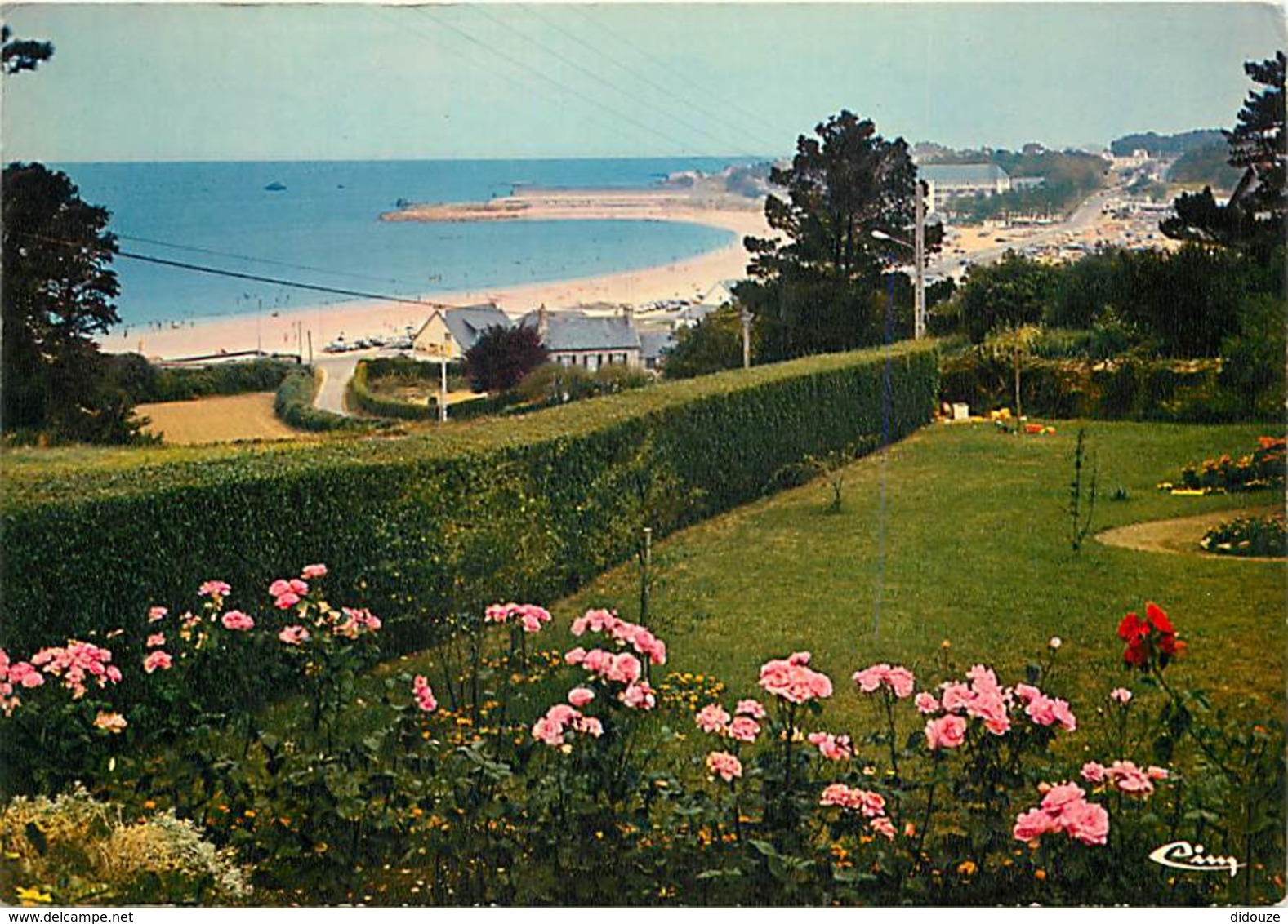 22 - Trévou - Tréguinec - La Plage De Trestel - Fleurs - CPM - Voir Scans Recto-Verso - Andere & Zonder Classificatie