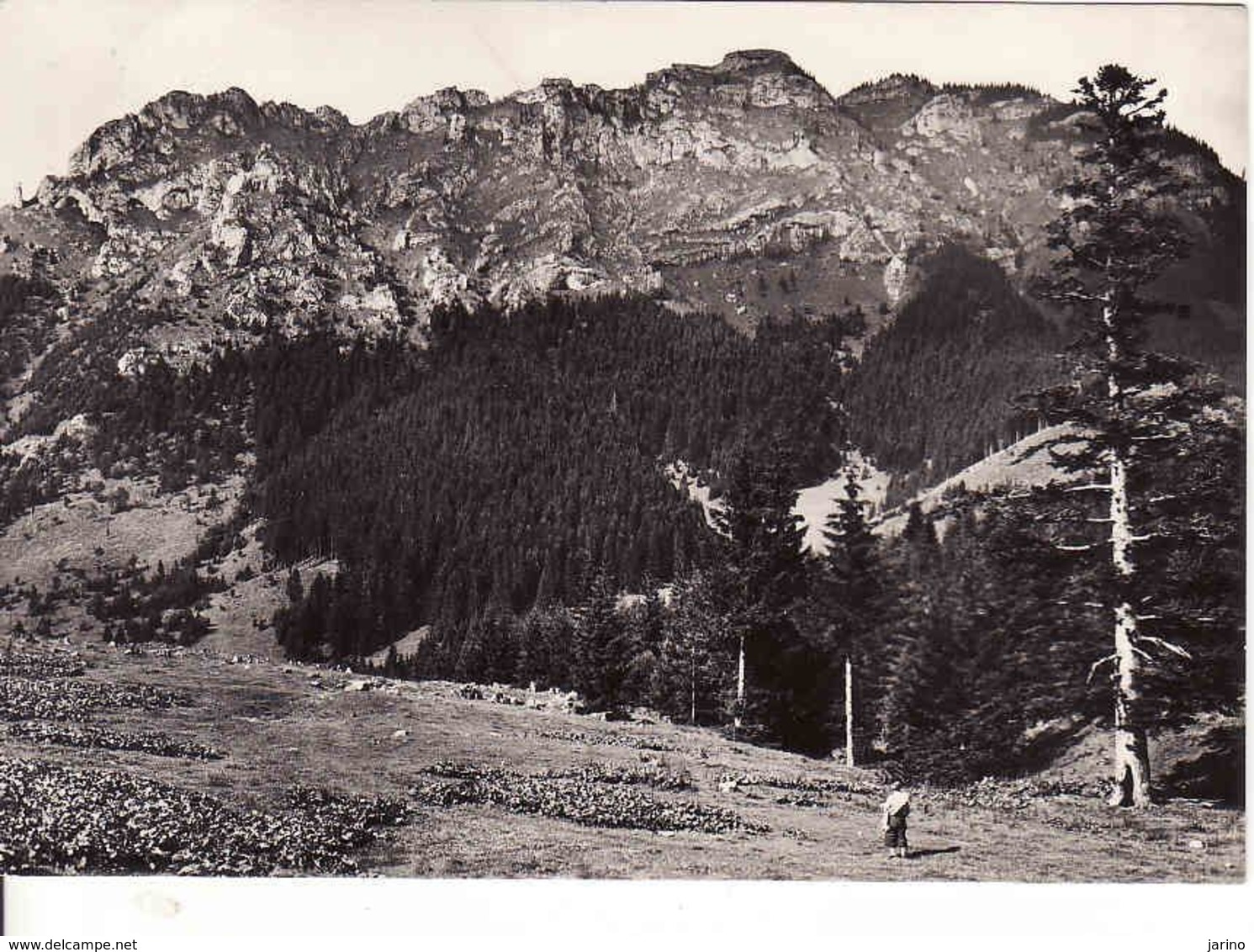 Slovakia, Nízke Tatry 1962, Ohnište 1539 M, Svätojanska Dolina - Puchalky, Used - Slovaquie