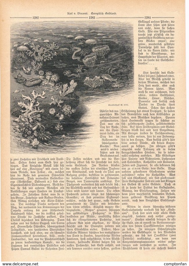 042 Tiergesellschaften Krokodile Fische Artikel Mit 18 Bildern Von 1888 !! - Animals