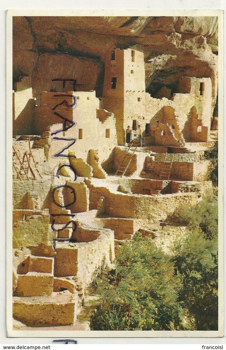 Etats-Unis. Colorado. Cliff Palace. Mesa Verde National Park. Troglodytes - Mesa Verde