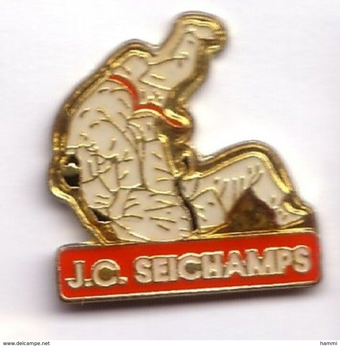 C209 Pin's  Judo SEICHAMPS  MEURTHE MOSELLE Achat Immédiat - Judo