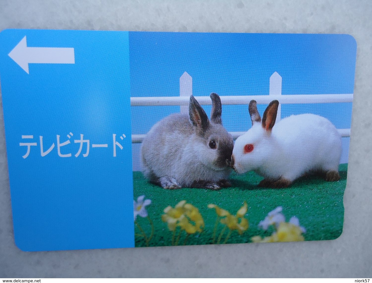 JAPAN NTT AND OTHERS  USED CARDS RABBIT - Other & Unclassified