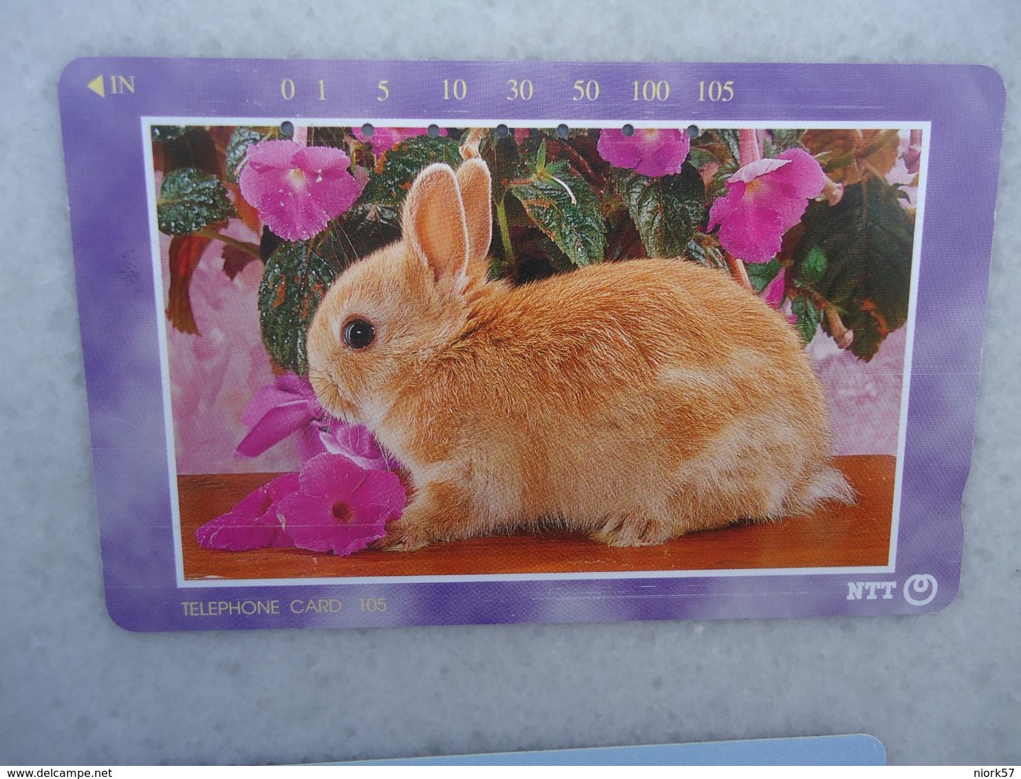 JAPAN NTT AND OTHERS  USED CARDS RABBIT - Autres & Non Classés