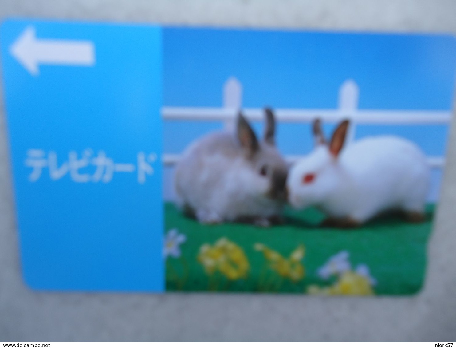 JAPAN NTT AND OTHERS  USED CARDS RABBIT - Other & Unclassified